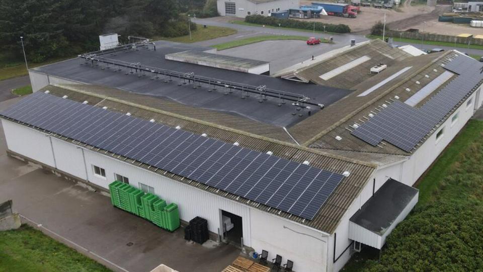 Fonfisk Hanstholm: Sådan blev de en del af den grønne omstilling